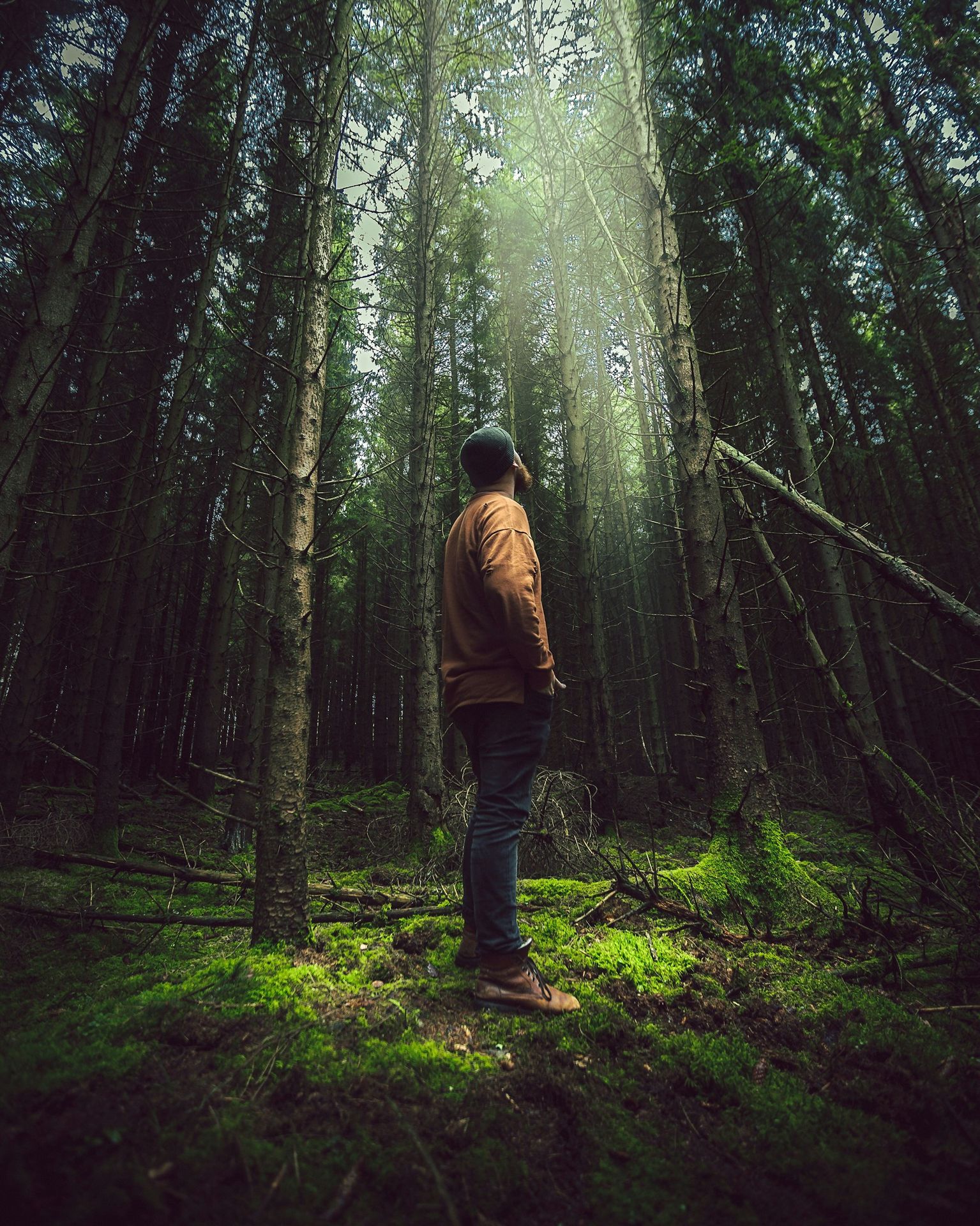 man standing near trees